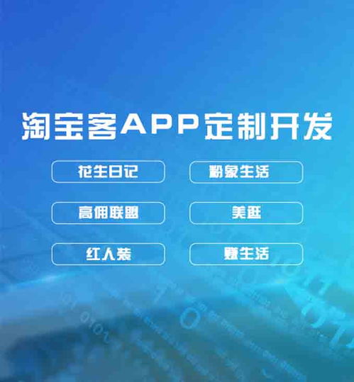 軟件私人定制app開(kāi)發(fā)公司有哪些