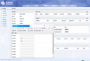 有沒有可以按照需求定做進銷存軟件的